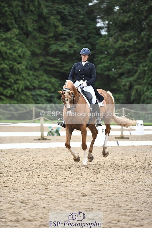 240720-161013-06438 - 187-Clare_Smith-Dori_Dragon_Fly