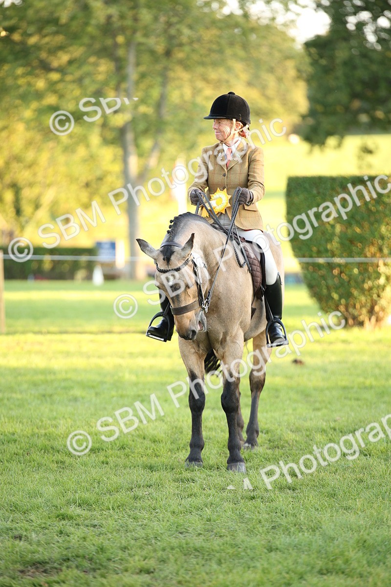 SBM_57051 - Veteran Supreme Championship