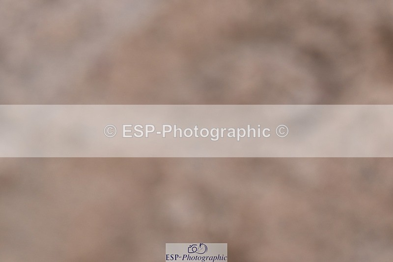 250125-133406-00660 - Dressage - CT Class 7 BE Novice 112