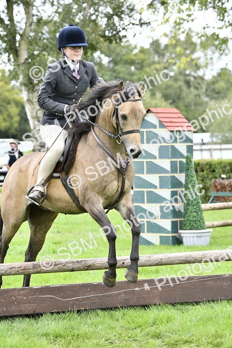 SBM_41356 - S32 - Mountain & Moorland Working Hunter Pony