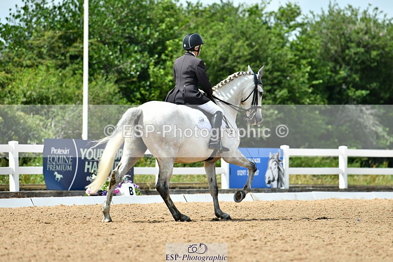 230701A-145936-06849 - Cls 11 Medium 73