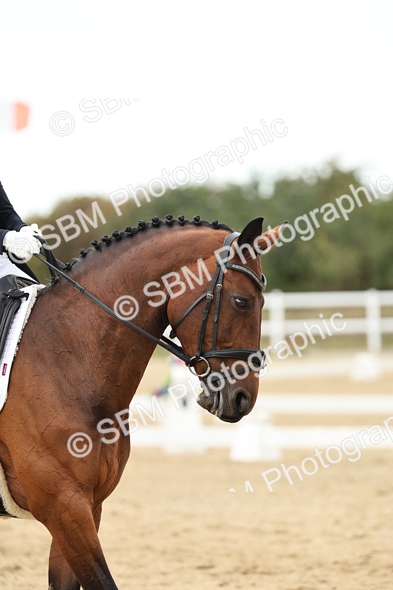 SBM_007253 - Class 25 - FEI PSG Bronze