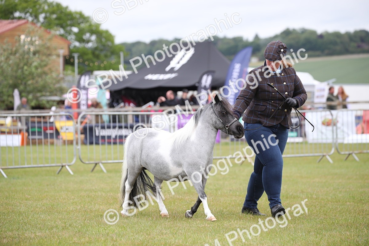 SBM_03965 - Class 23-25 - British Miniature Horse of the Year