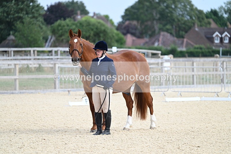 WJ7_1941 - In Hand
