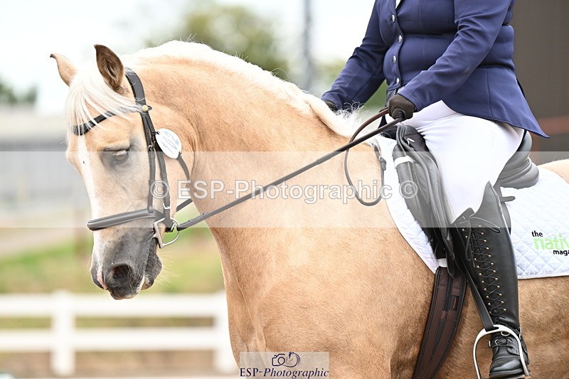 240817A-150438-09996 - 102-Chloe.Walton-Haytors.Lord.of.the.Dance