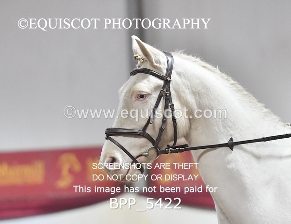 BPP_5422 - 14 Chloe Meldrum