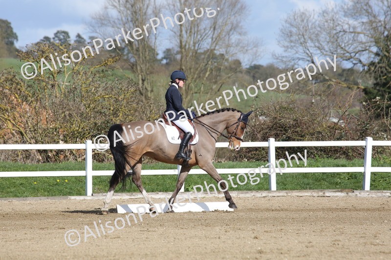 20260314-3984 - CT4 - Novice 1