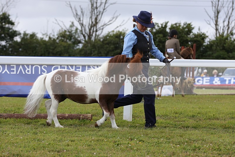 1X9A4749 - Class 35: Veteran In Hand