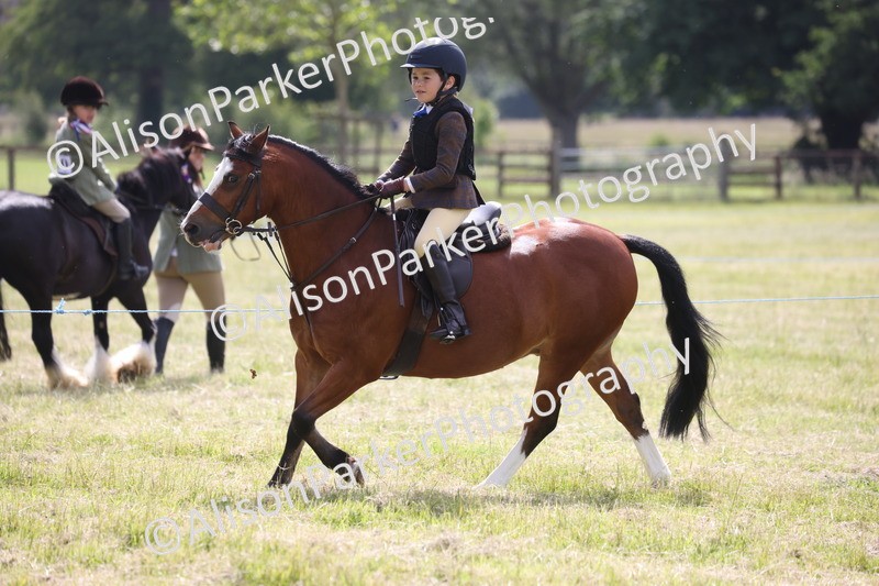 20260614-0498 - Class 20 - Beginners Working Hunter Pony