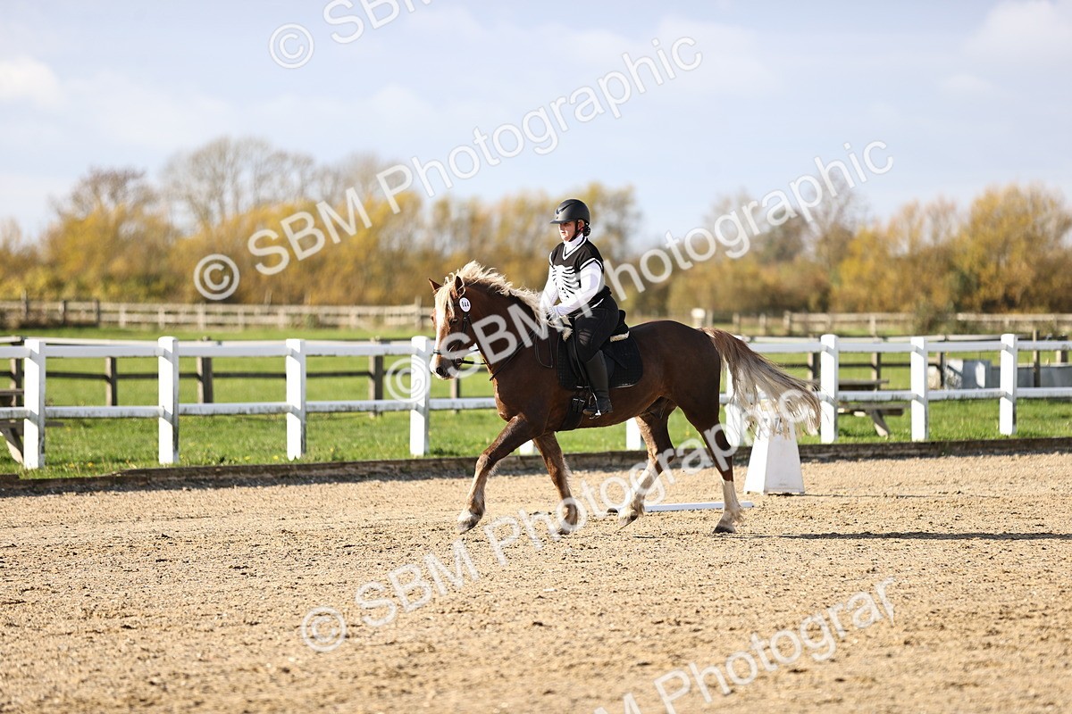 SBM_001309 - Class 2-4 - Intro 1 Intro 3