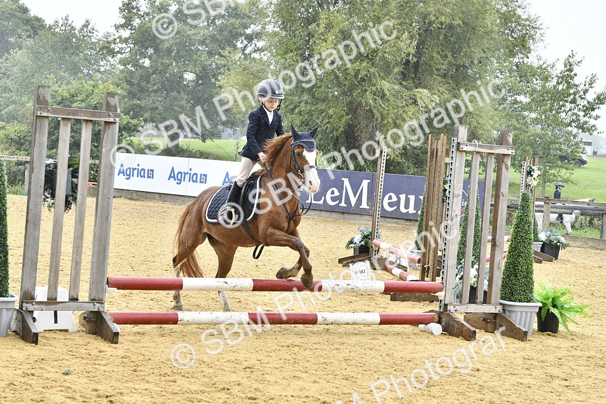 SBM_70960 - J3 - Mini Tour Junior Pony 40cm championship
