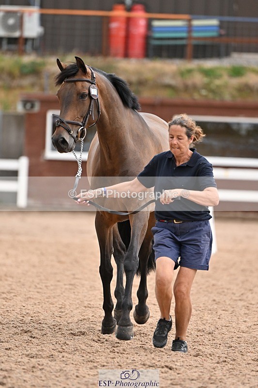 250716-145327-01480 - Trot Up 2.30 to 3.30