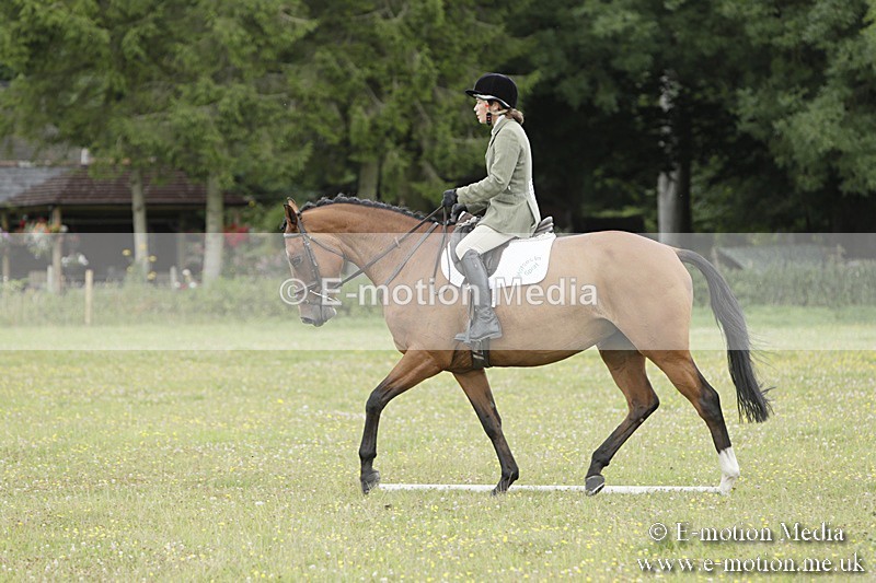 BVR160717-1467 - Class 3 Dressage 16/07/17