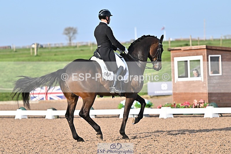 250404-181323-08567 - 159-Darren.Hicks-Tramontana.Tiger.Feet