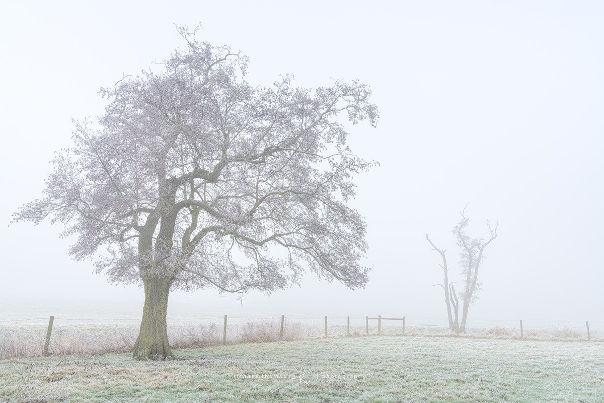  - WINTER