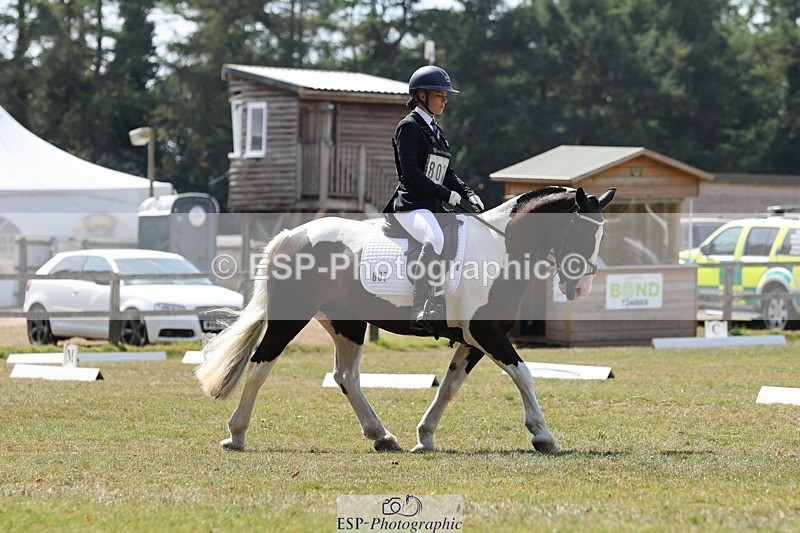 250823A-131303-31489 - Arena C