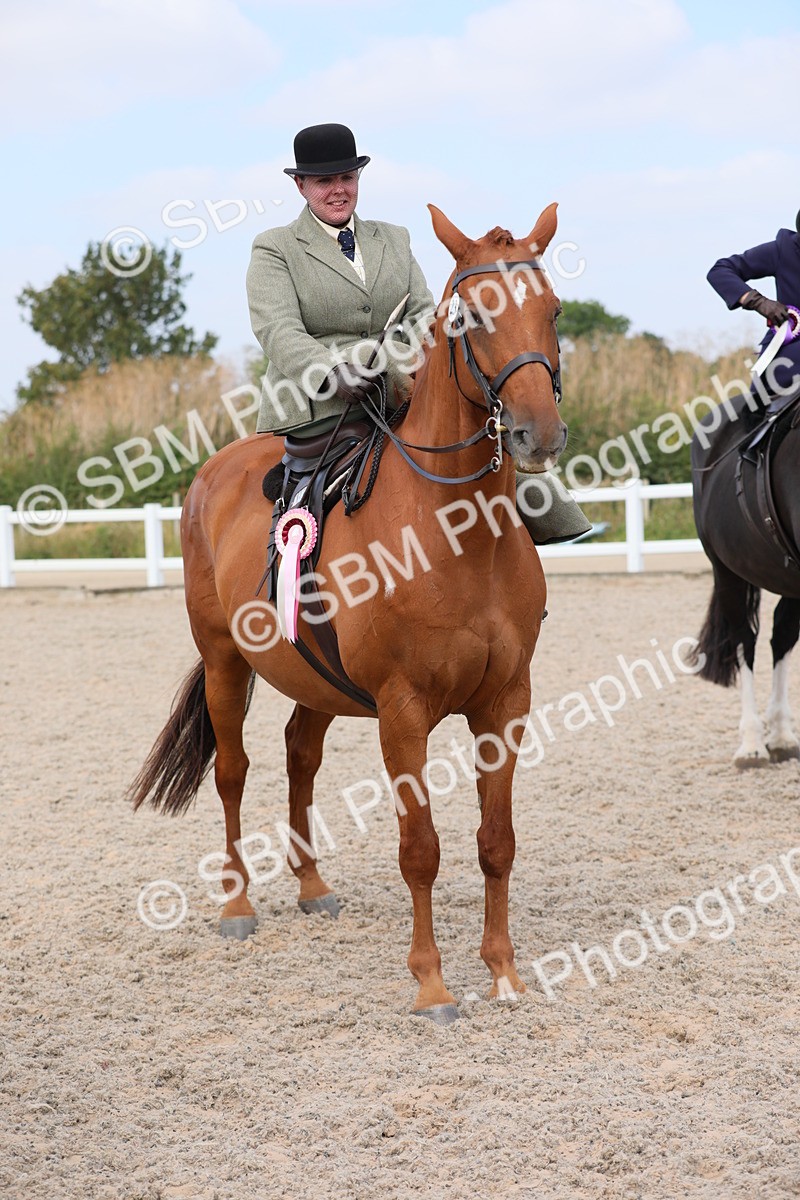 SBM_14625 - Class 211 Best Side Saddle Horse/Pony