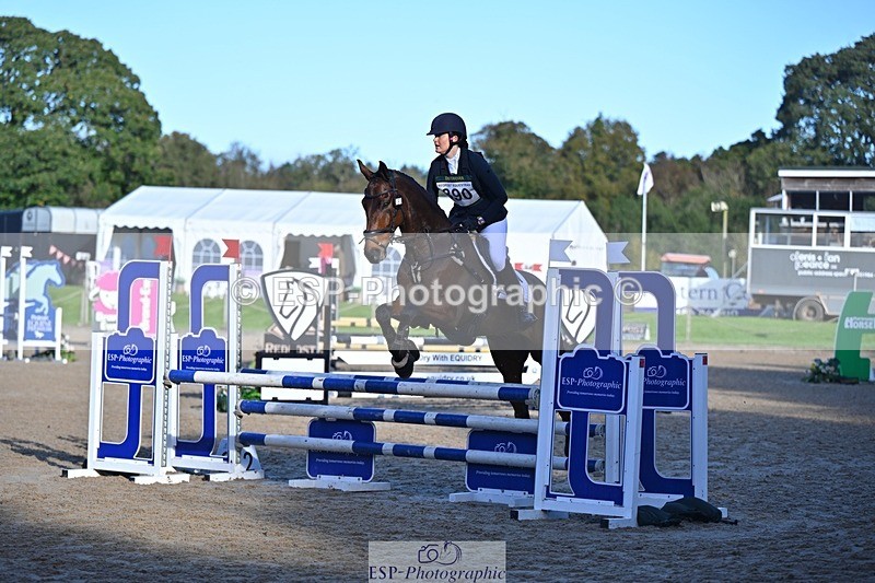 241027-093023-16017 - 390-Pippa.Howell-Phippard-NO.LIMIT.II