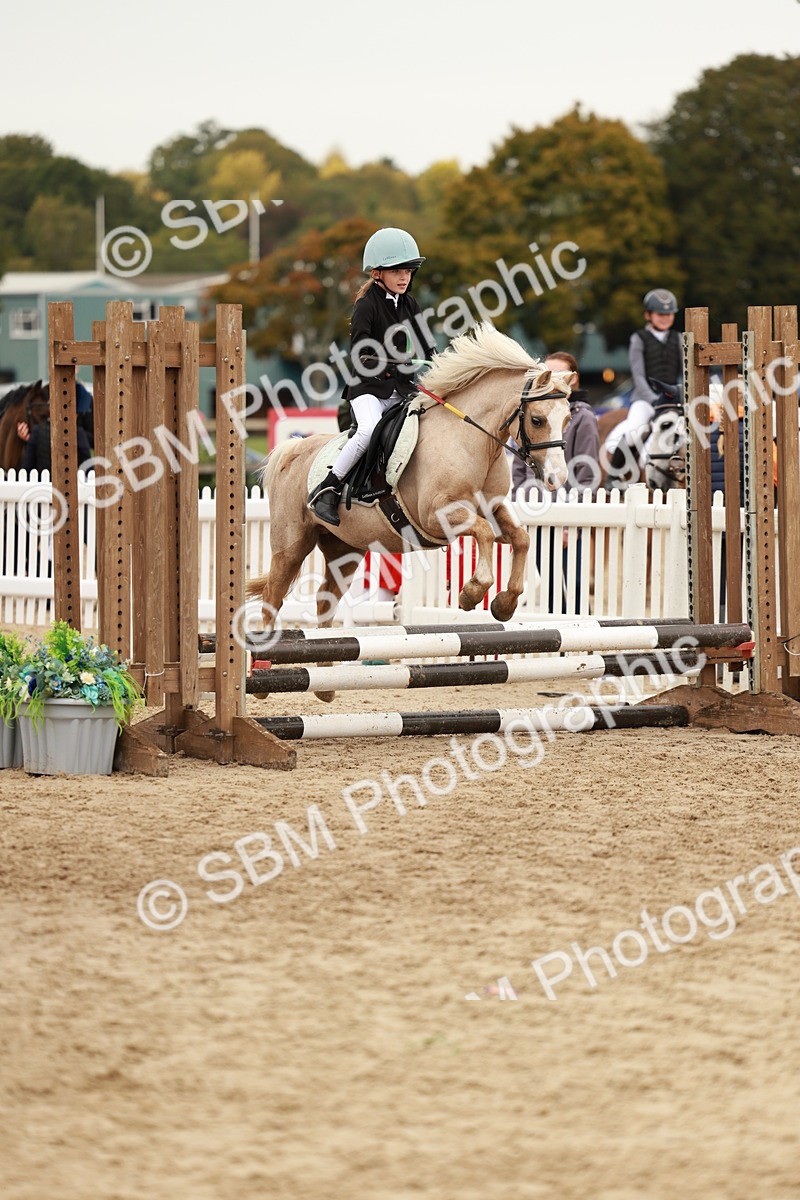 SBM_57915 - J11 - Junior Pony 50cm Championship