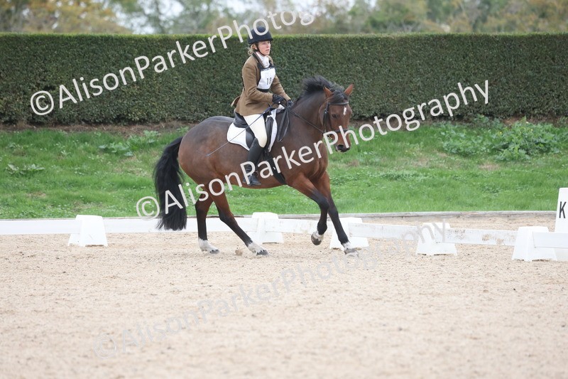 20251011-0483 - Class 4 - Novice 2