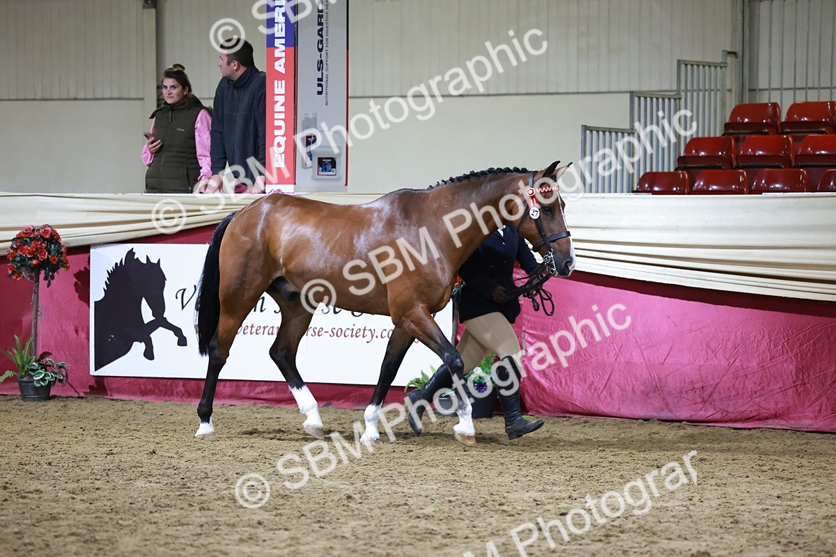 SBM_21508 - Class V - Champion of Champions