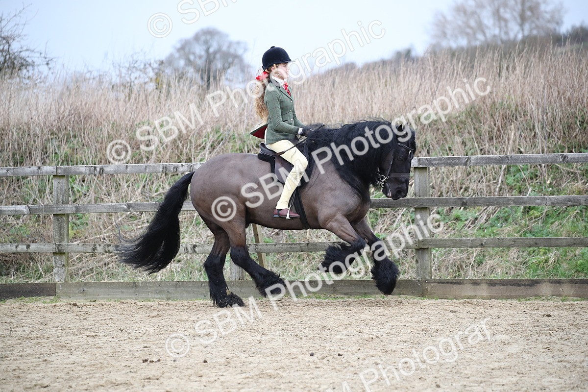 SBM_006103 - Class 10-13 - RIHS Small Large Breeds
