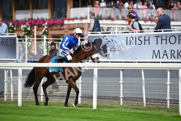 yr04092022r1-4 - Race 1 1.45pm IRE Incentive, It Pays To Buy Irish EBF Novice Stakes