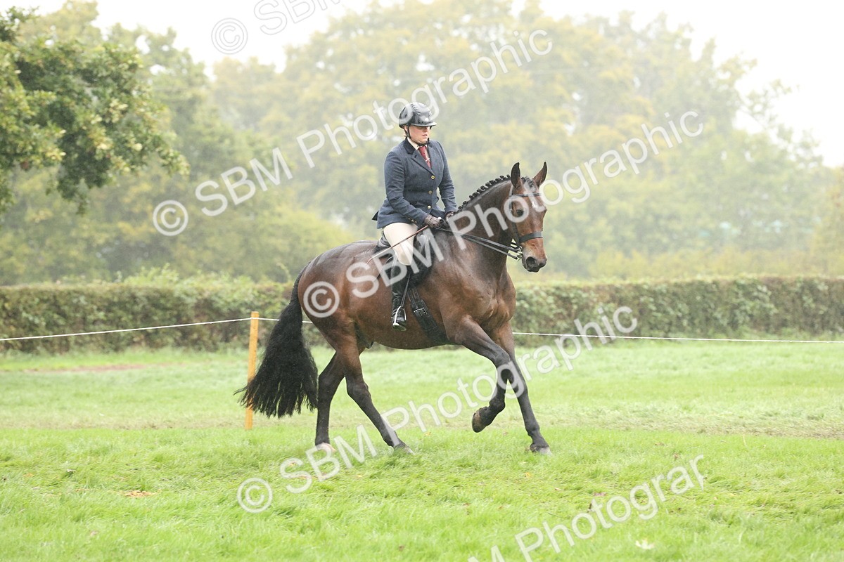 SBM_72906 - Ridden Horse Supreme Championship