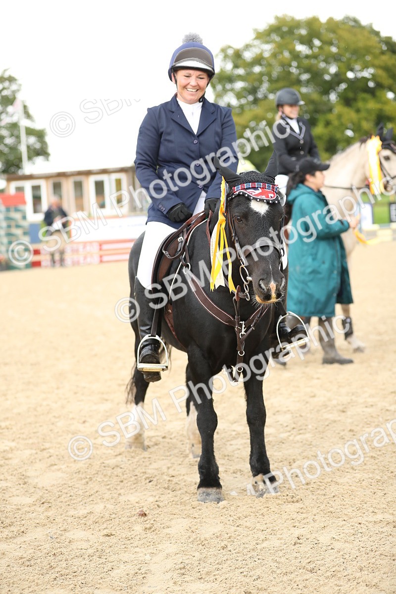 SBM_01061 - J27 - Senior Horse & Pony 50cm Championships