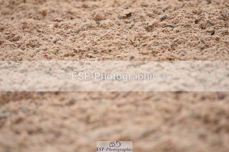 230708A-105632-01481 - Prelim 7