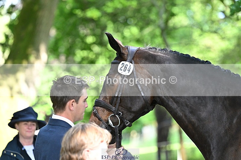 250521A-164919-01357 - C-264-Max.Warburton-EARL.DORADO