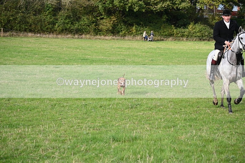 WJ6_5555 - Camera 1