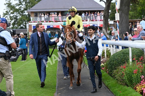 230825-010 King Of Cities - Race 1 1.50pm Sky Bet Strensall Stakes