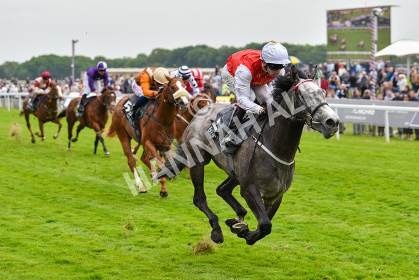 180523-Race 5-Great State-9796 - Race 5 4.10pm British EBF 40th Anniversary Westow Stakes