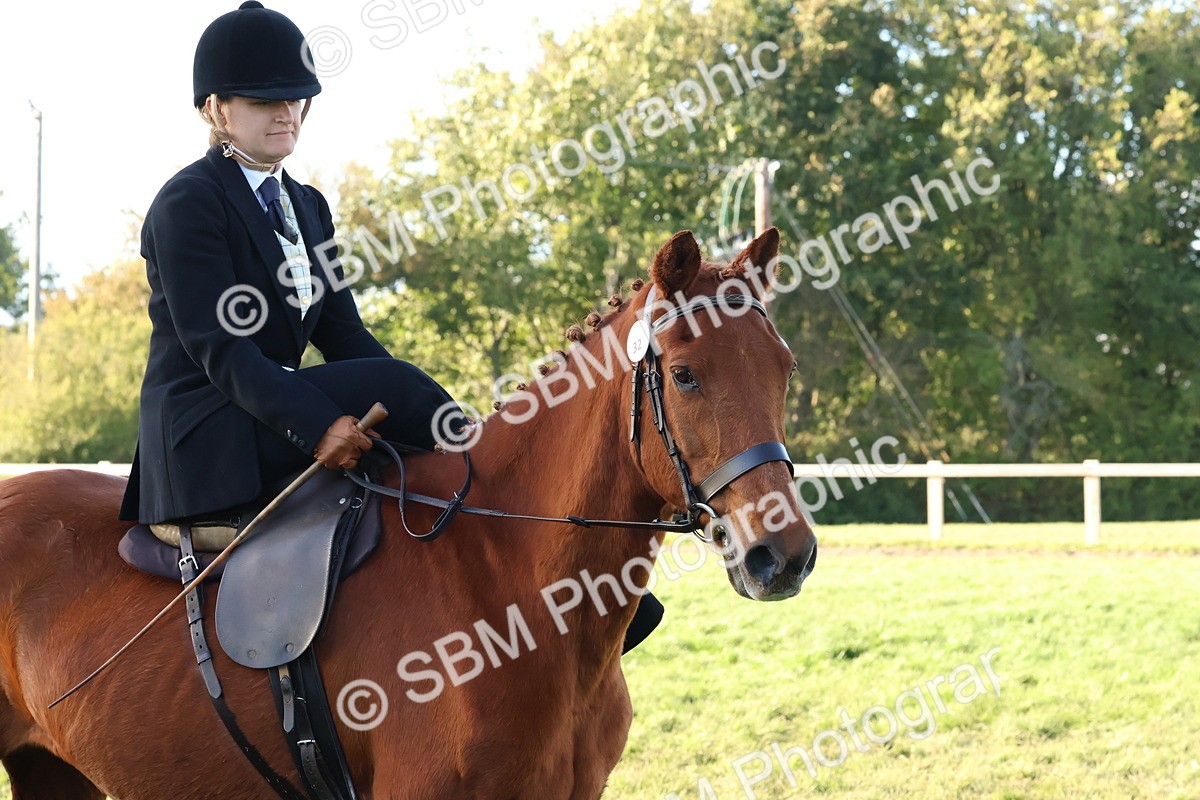 SBM_53071 - S29 - Mature Veteran Ridden