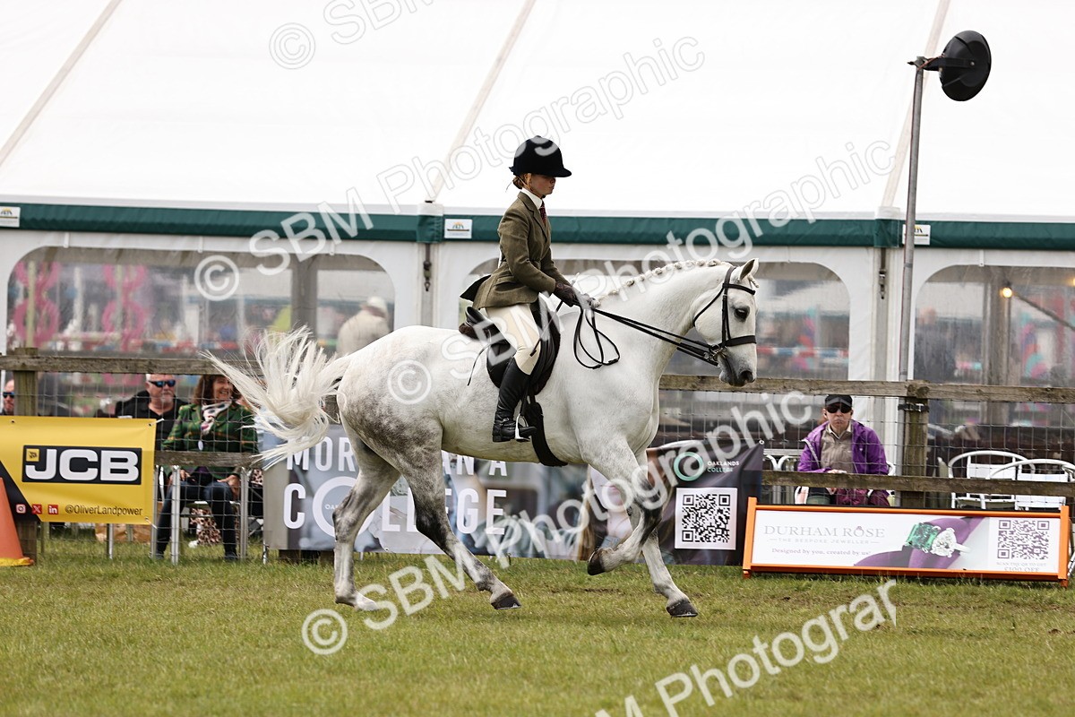 SBM_14590 - Class 88-89 - LIHS BSHA Rising Star of Ridden Hunter Type