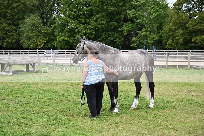 WJ6_2846 - Berks & Bucks - The Old farmhouse - Hound Exercise 20-08-25