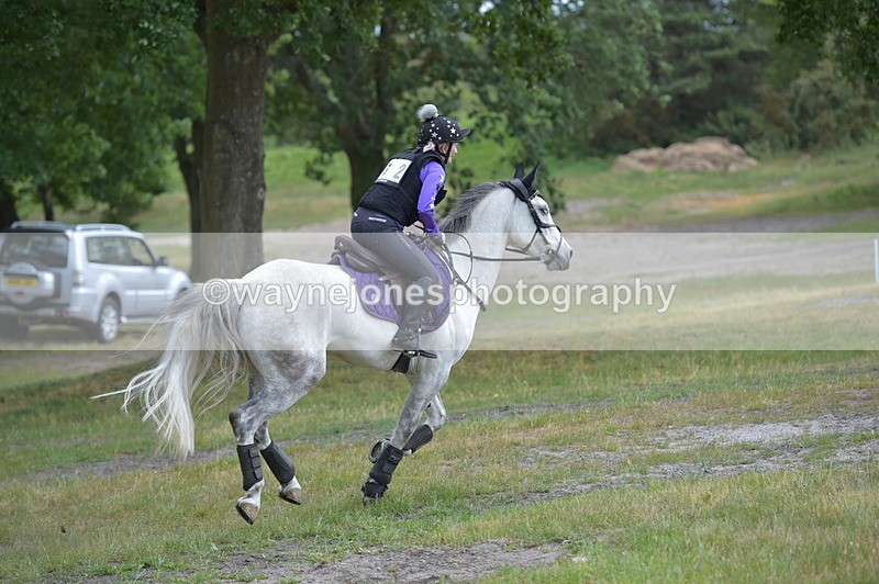 NGP_9301 - Time 12:54 to 1309