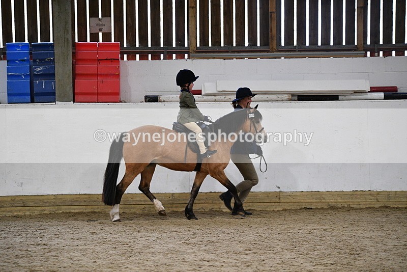 WJ5_6695 - Class 10 Childs Pony