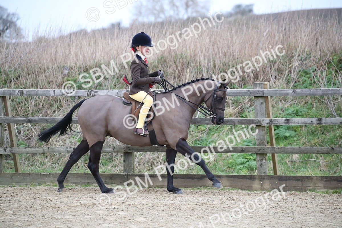 SBM_004652 - Class 5-9 - NPS In Hand-Show Hunter-Intermediate Ridden Inc Ridden Championship