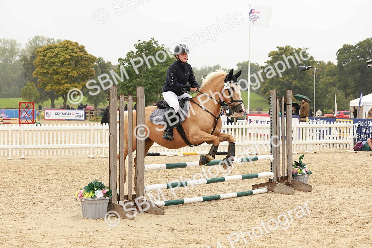 SBM_71150 - J14 - Junior Pony 65cm Championship
