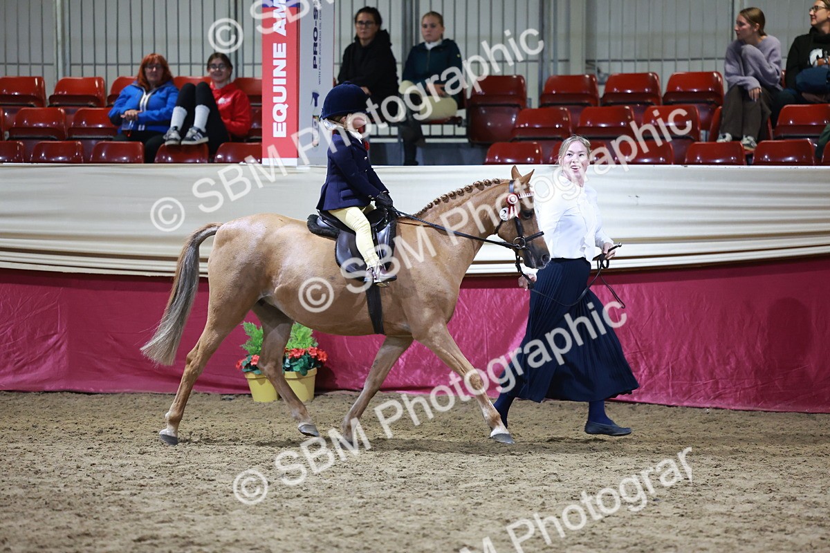 SBM_21532 - Class V - Champion of Champions