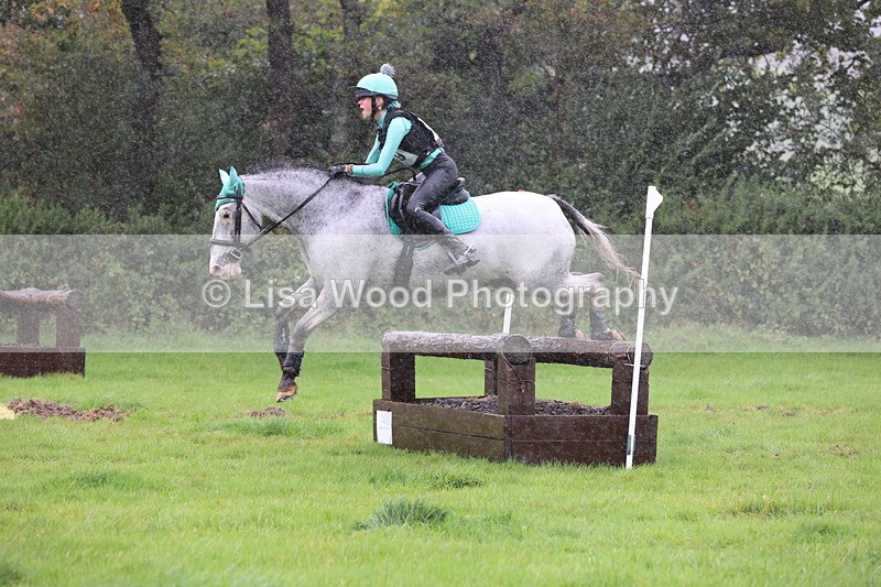 JPP_5421 - Class 4: 80cm: Crossed Logs