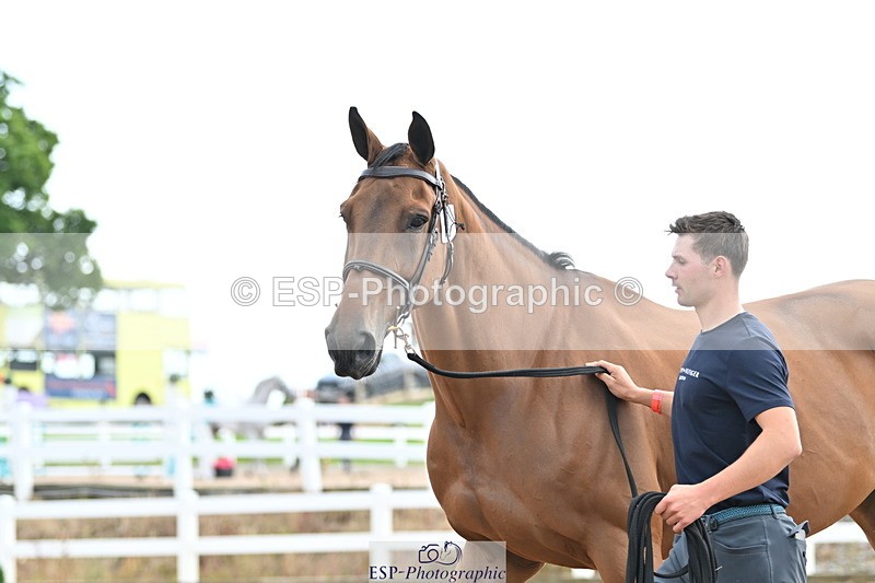 240717A-143640-02145 - Trot Up 2pm to 3pm - This folder is not in time order