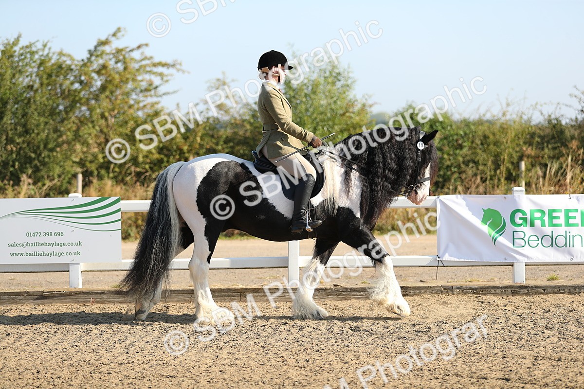 SBM_01103 - Class 42 Ridden Veteran