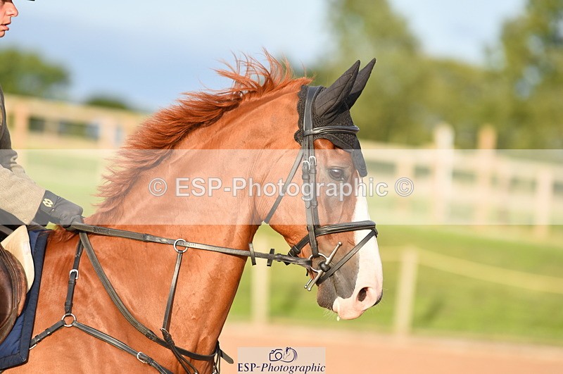 230711A-194458-00737 - 1m