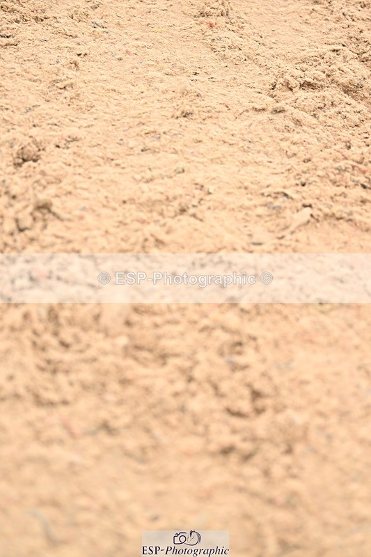240501A-150414-01202 - Cls 8 Snr Foxhunter and 1.20m Open