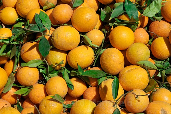  - Marrakech