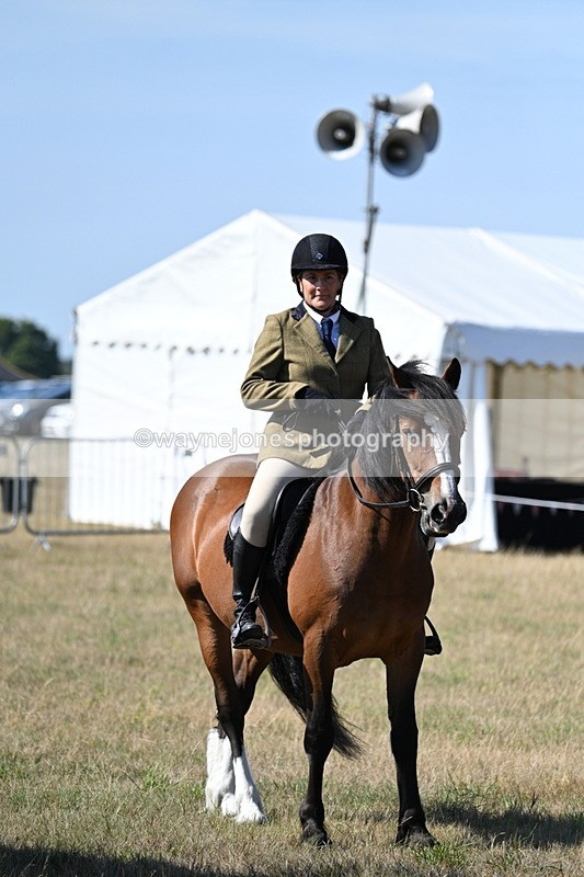 WJ7_3617 - Class 9 Mountain & Moorland Ridden