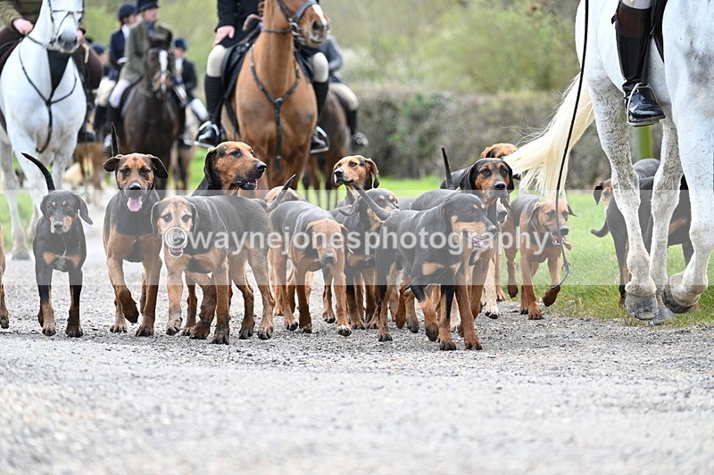 WJ7_9801 - Walk Home